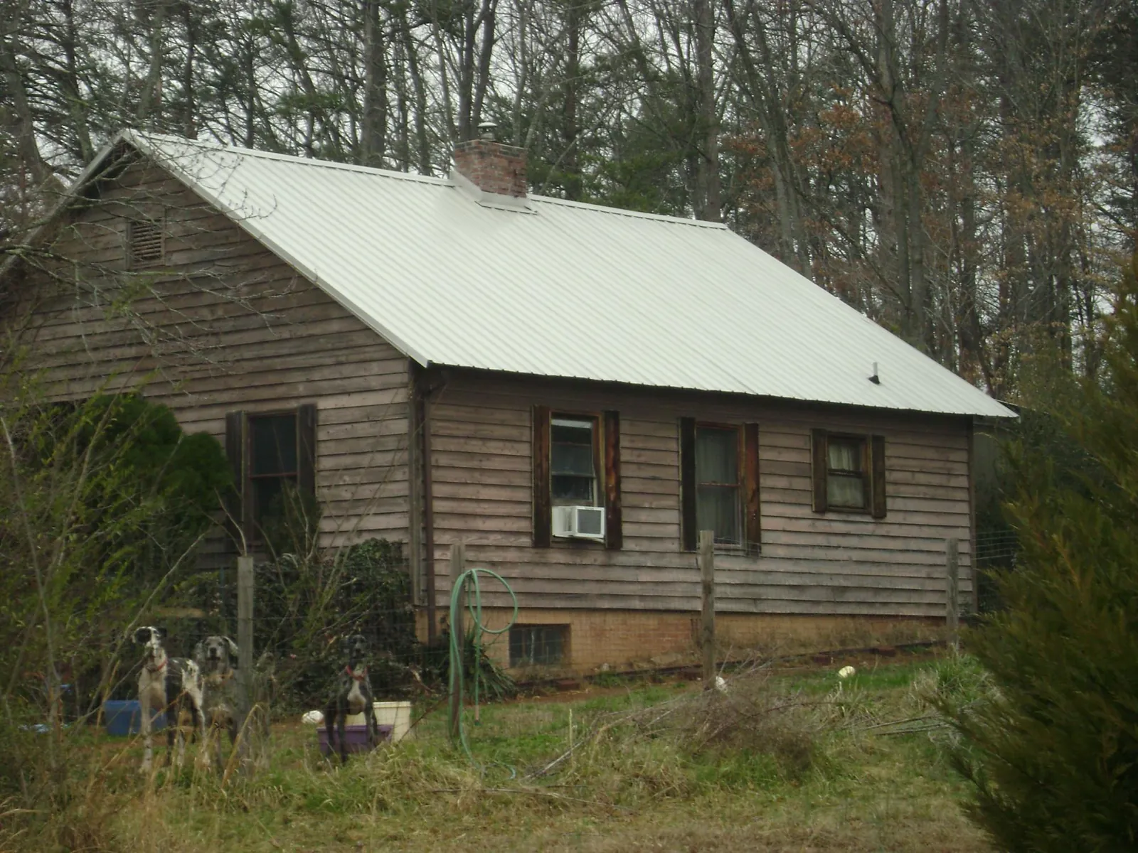 White metal roof on an old wood sided farmhouse, from a Asphalt Shingle Roof Repair job in Cottage Grove